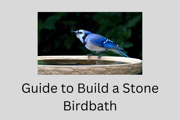 Guide to Build a Stone Birdbath